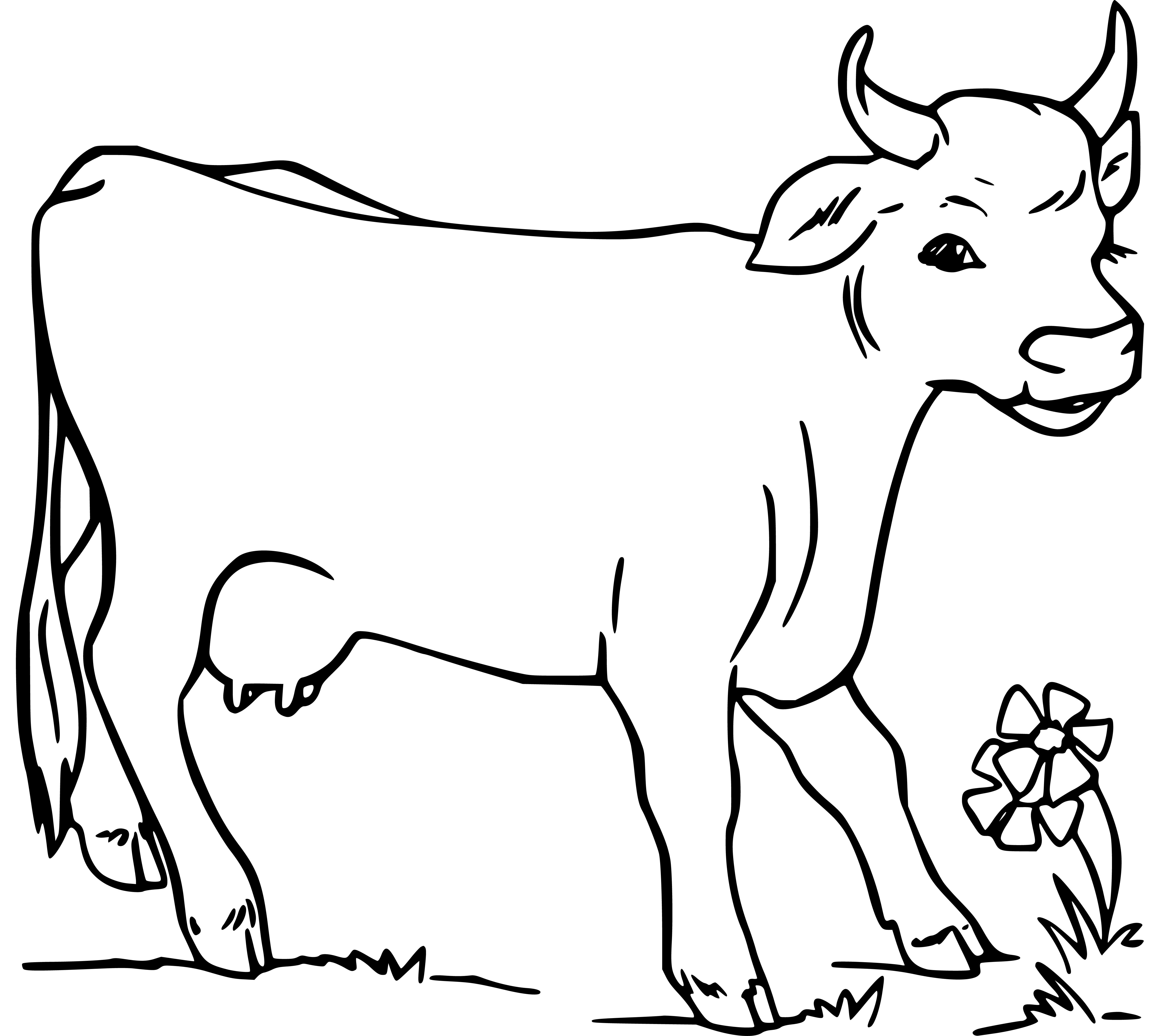 Cute Cow Coloring Page and Flowers - SheetalColor.com