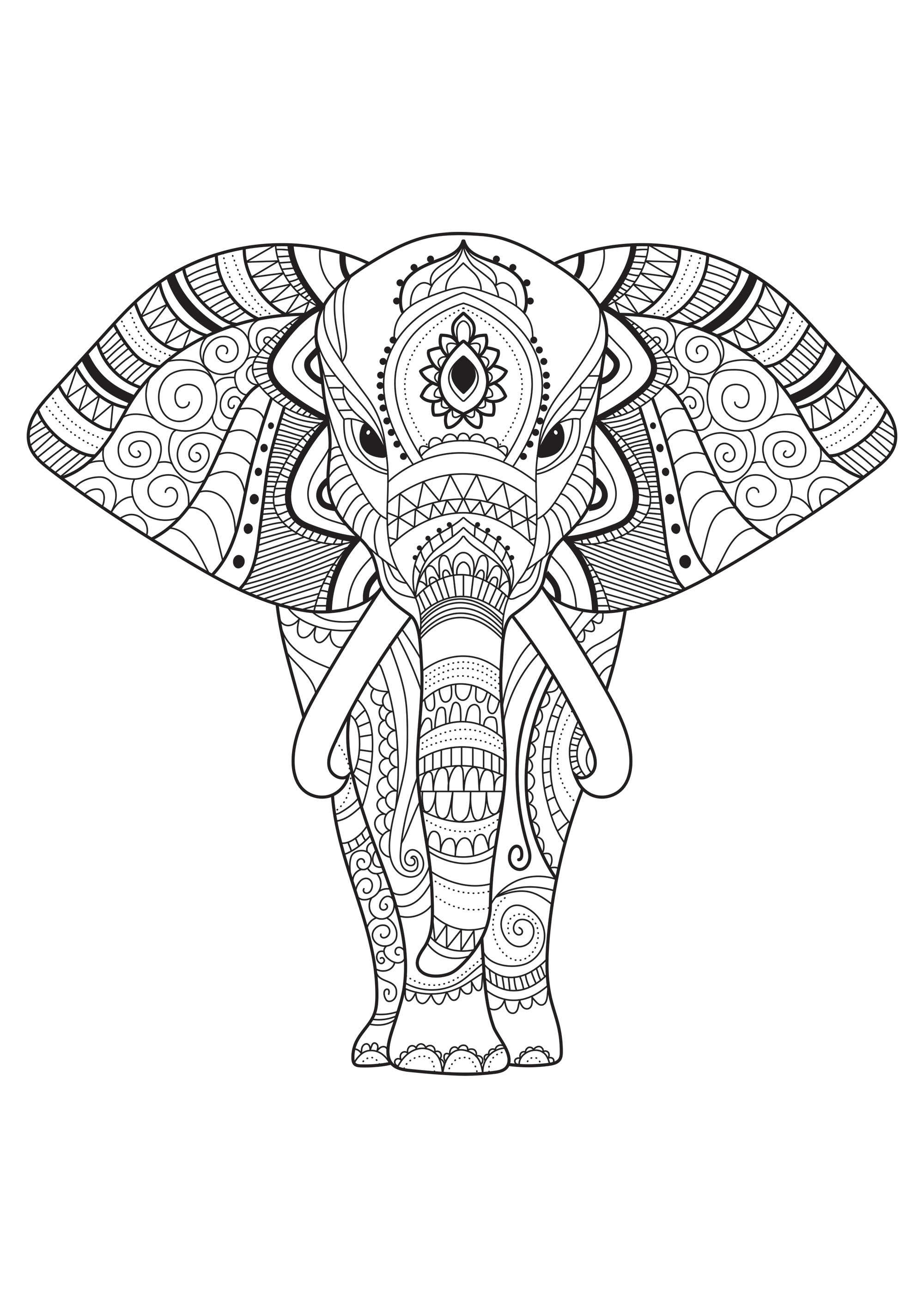 Elephants Adult Coloring Pages - SheetalColor.com