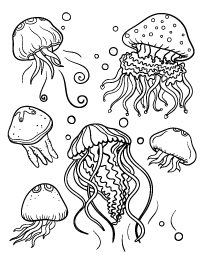 Jellyfish Coloring Page | Fish coloring page, Animal coloring ...