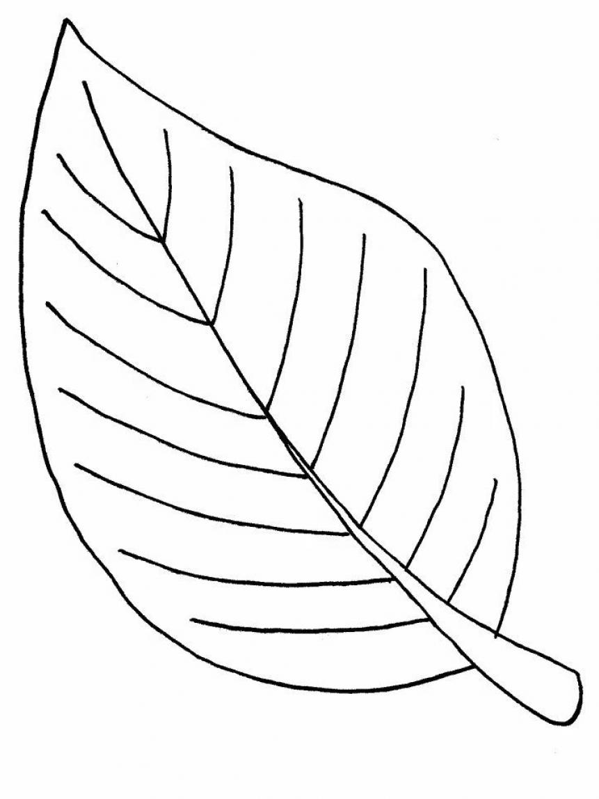 Leaf coloring page, Printable leaves, Tree coloring page - SheetalColor.com