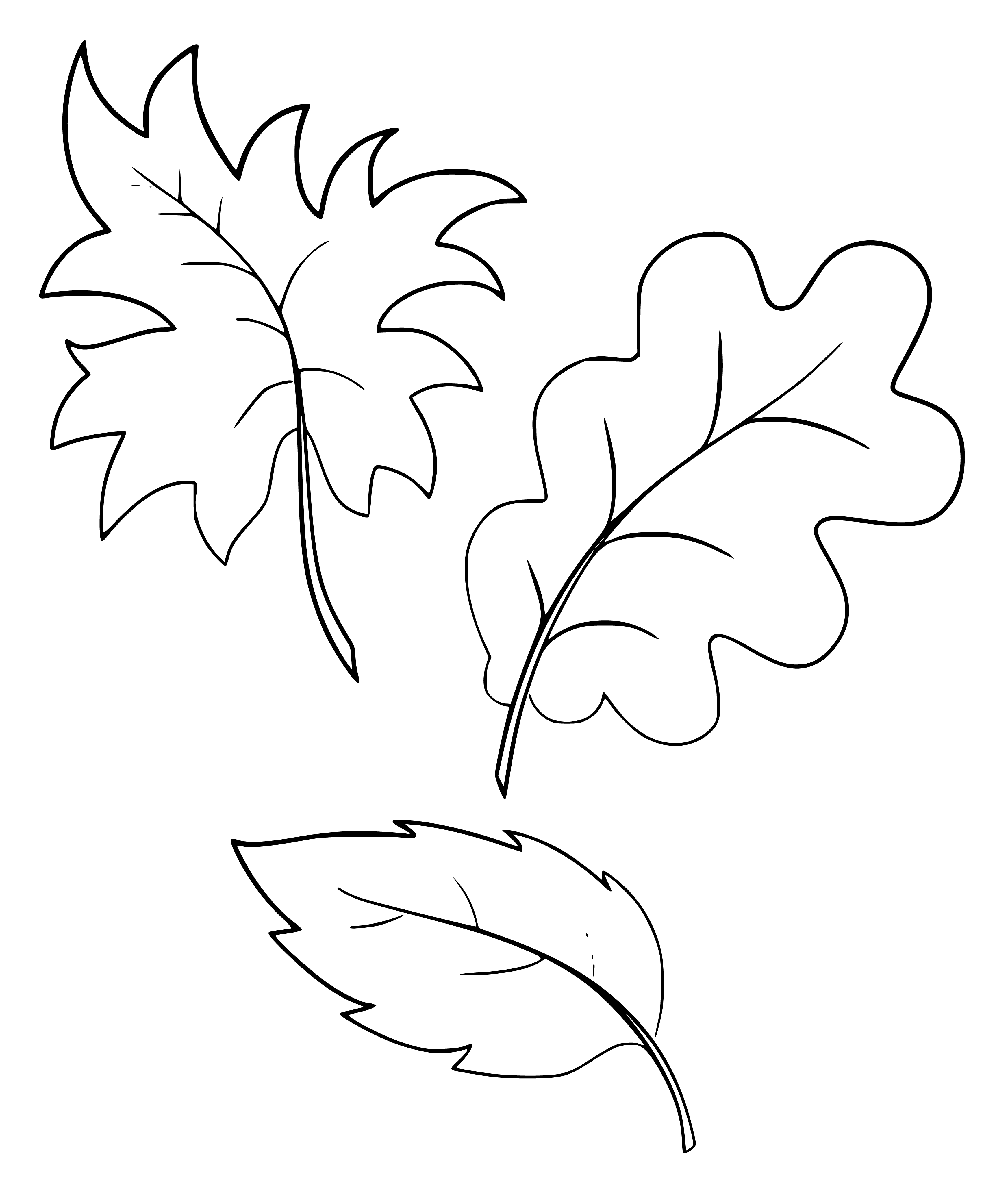 Leaves Coloring Pages Printable - SheetalColor.com