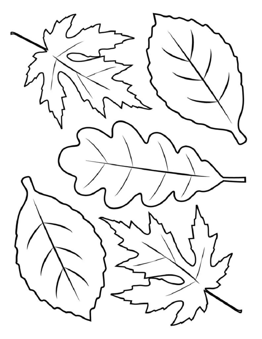 Leaf Coloring Pages (Leaves) - Coloring Sheets