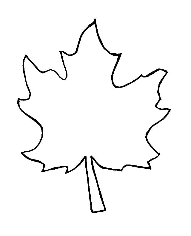 Leaf of a Maple coloring pages - SheetalColor.com