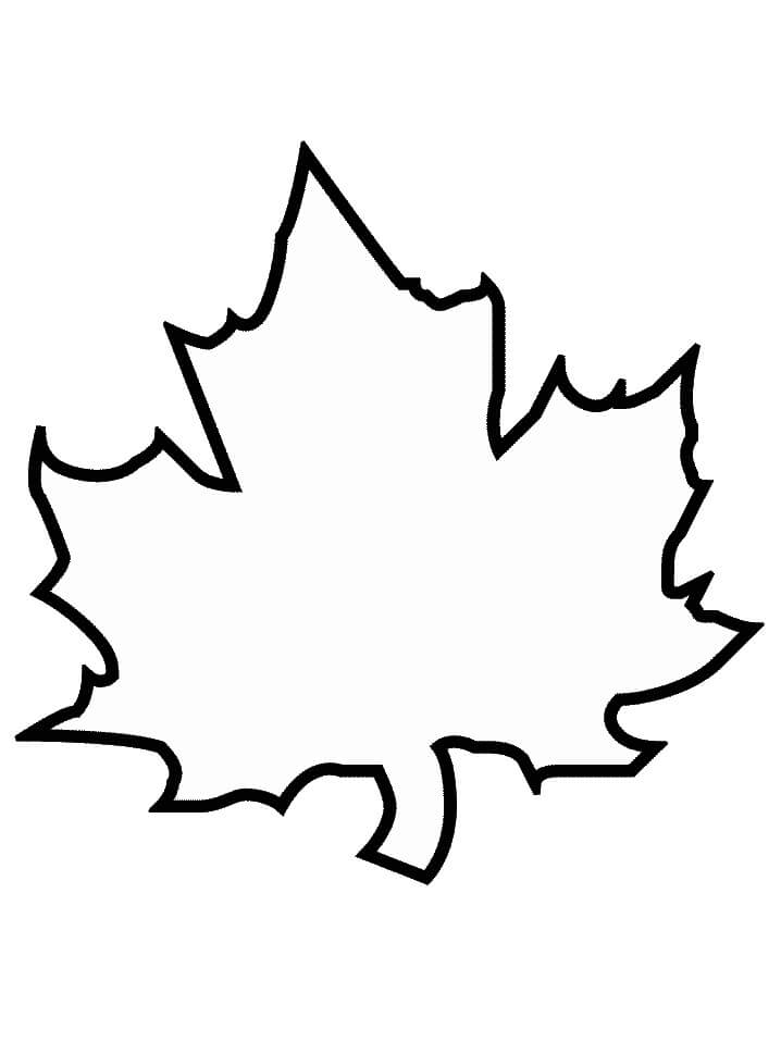 Maple Leaf Coloring Page - SheetalColor.com