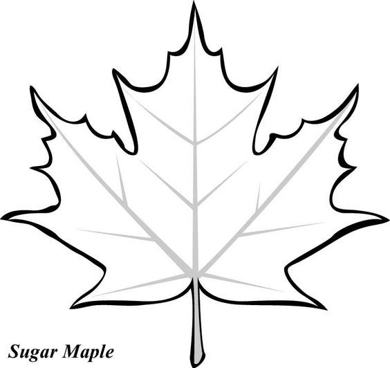 Maple Leaf Template Free Printable - SheetalColor.com