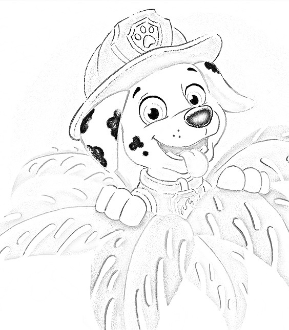 Paw Patrol Marshall Coloring Page 8 - SheetalColor.com