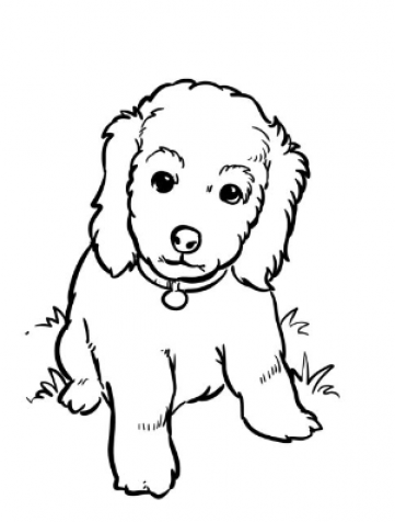 New Puppy Coloring Pages Easy - SheetalColor.com