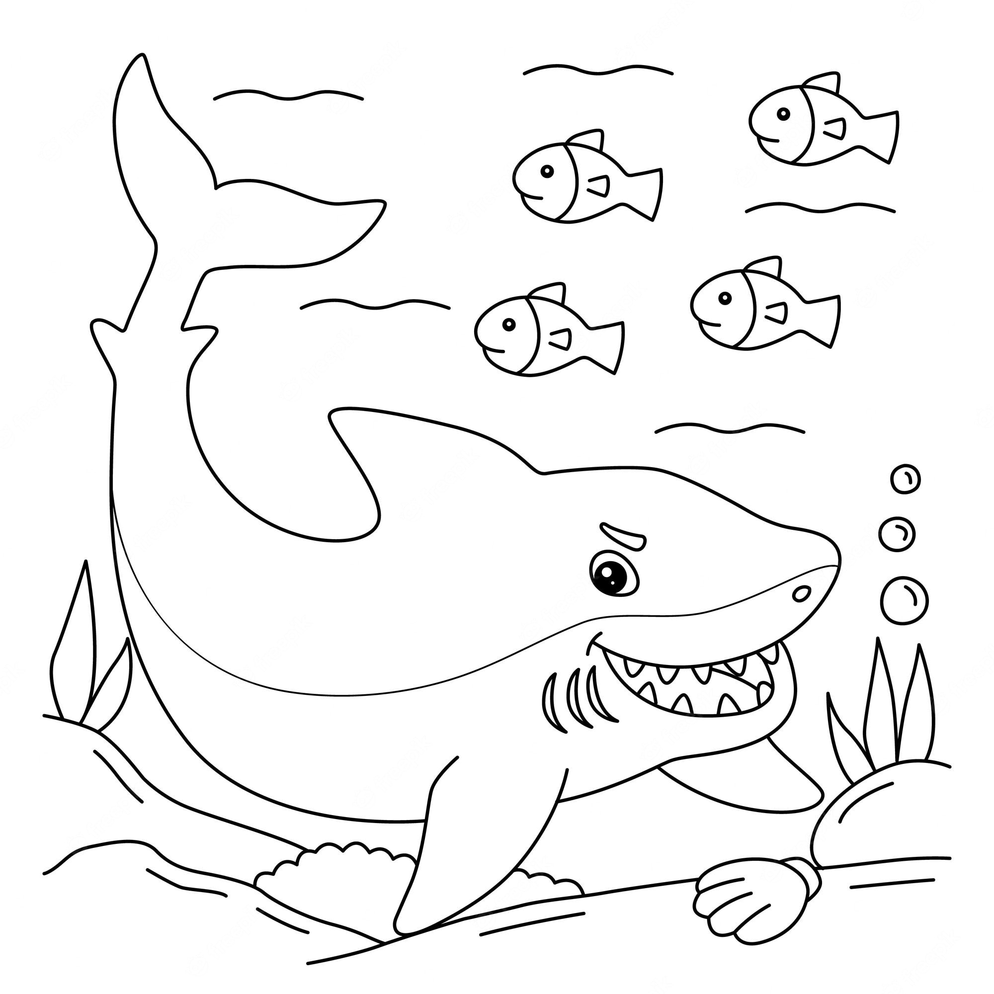 Great white shark coloring page for kids - SheetalColor.com