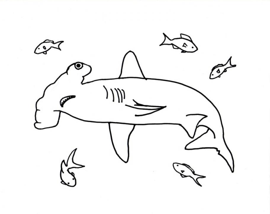 Hammerhead Shark Coloring Page - SheetalColor.com