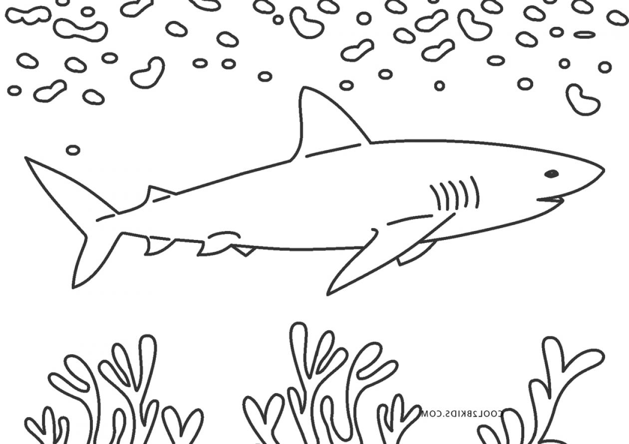 Free Printable Shark Coloring Pages For Kids - SheetalColor.com