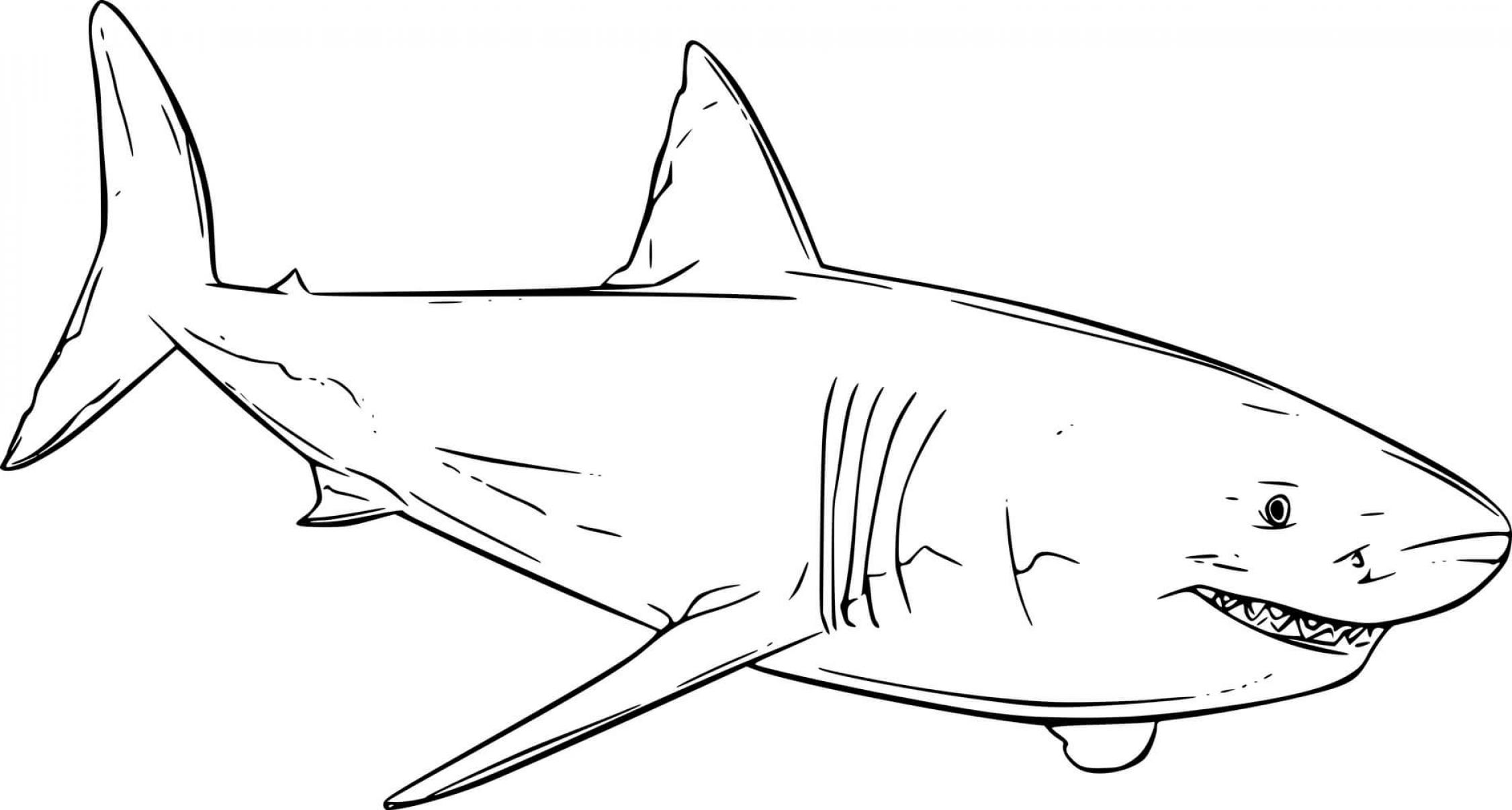 Shark Coloring sheet - SheetalColor.com