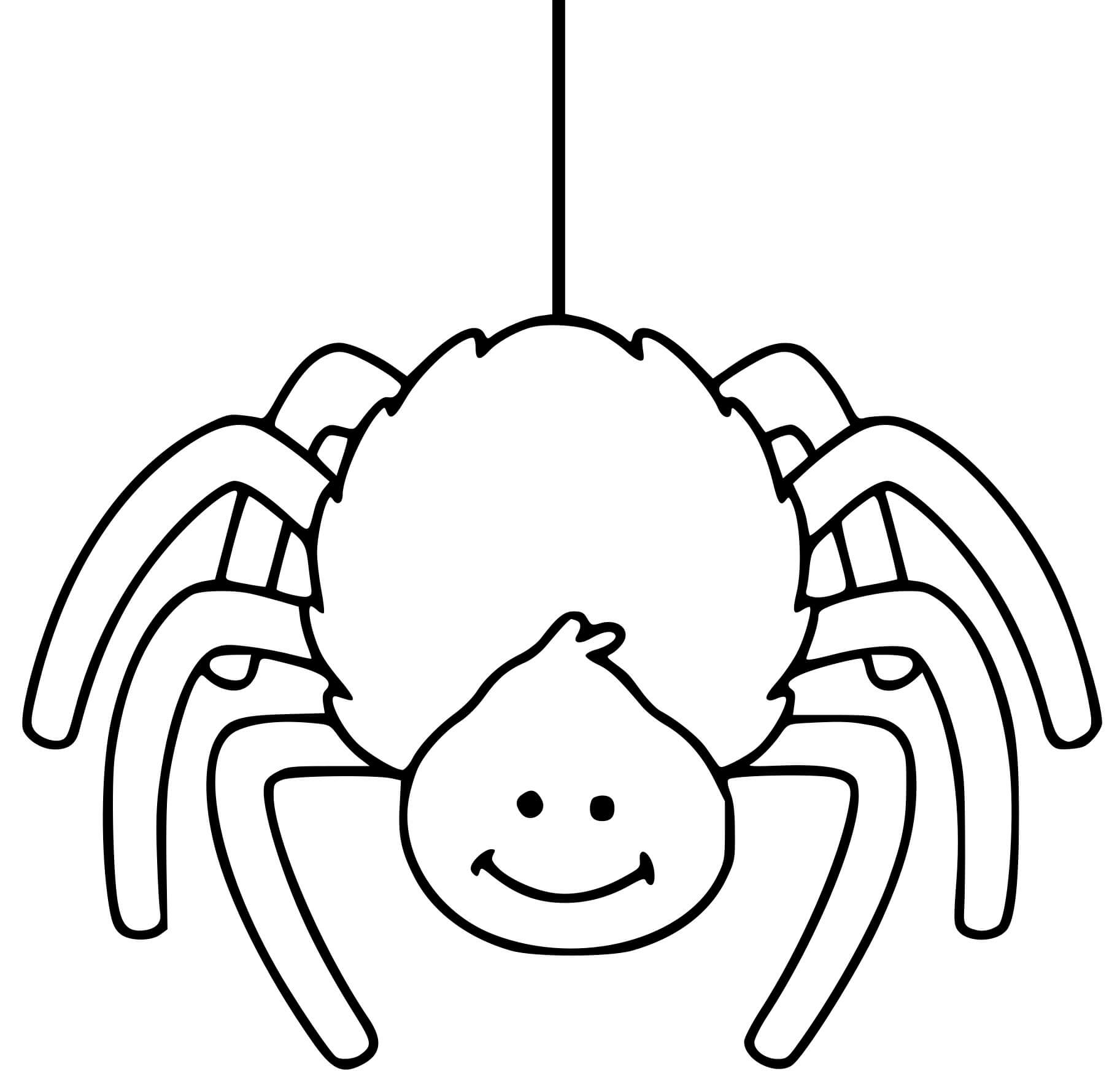 Cute Spider Web Coloring Pages - SheetalColor.com