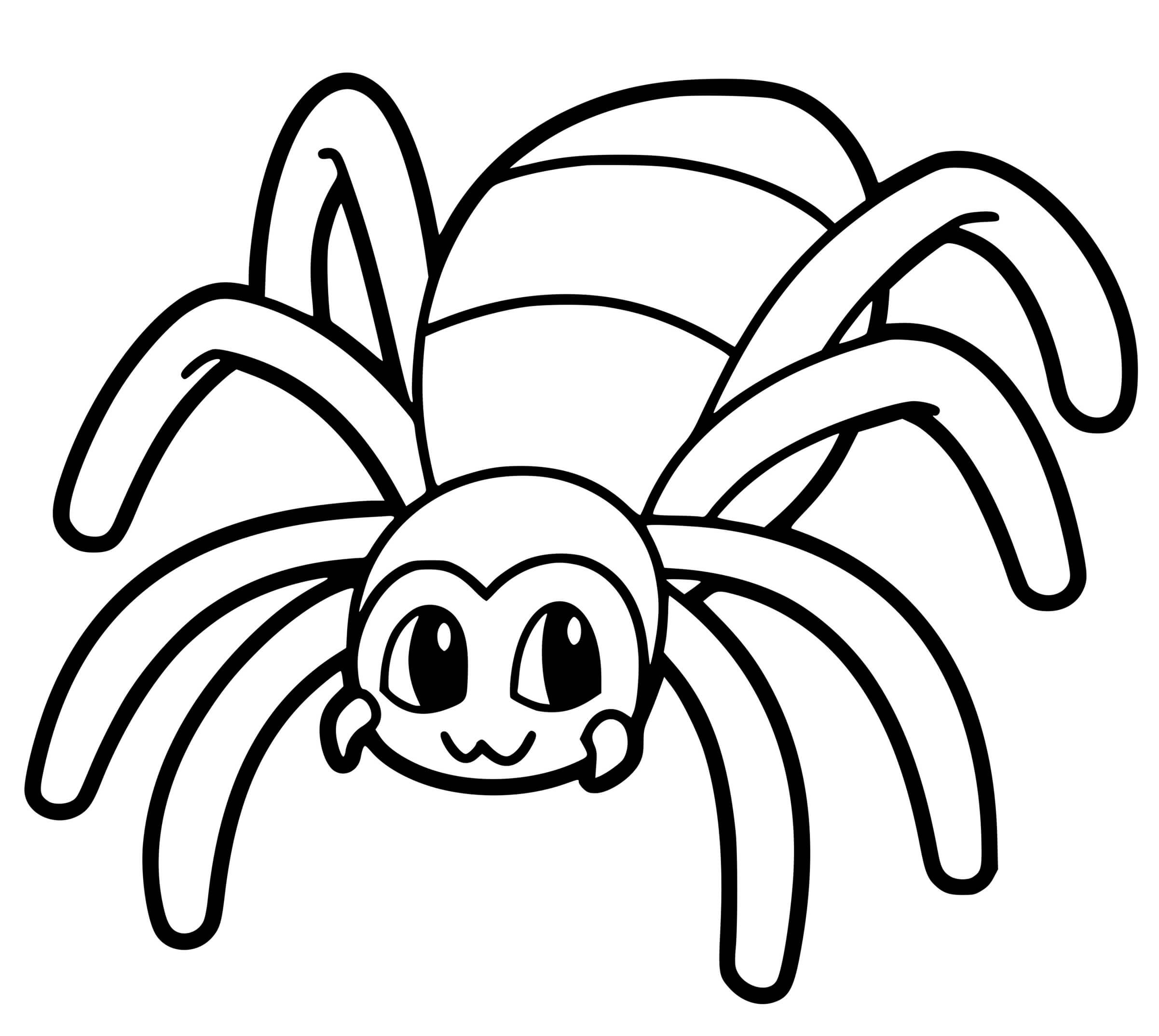 Baby Spider for Kids Coloring Pages - SheetalColor.com