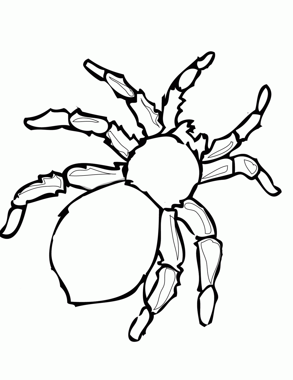 Spider Coloring Pages Printable - SheetalColor.com