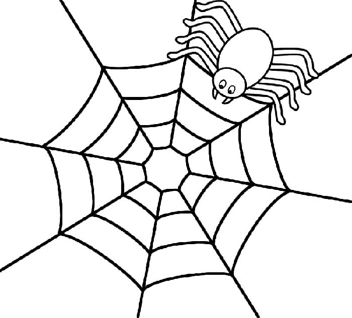 Spider Web Coloring Sheet - SheetalColor.com