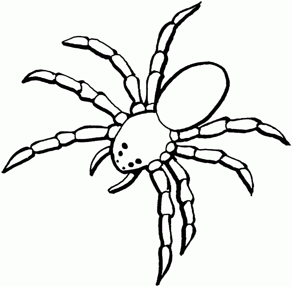 Free Printable Spider Coloring Pages For Kids - SheetalColor.com