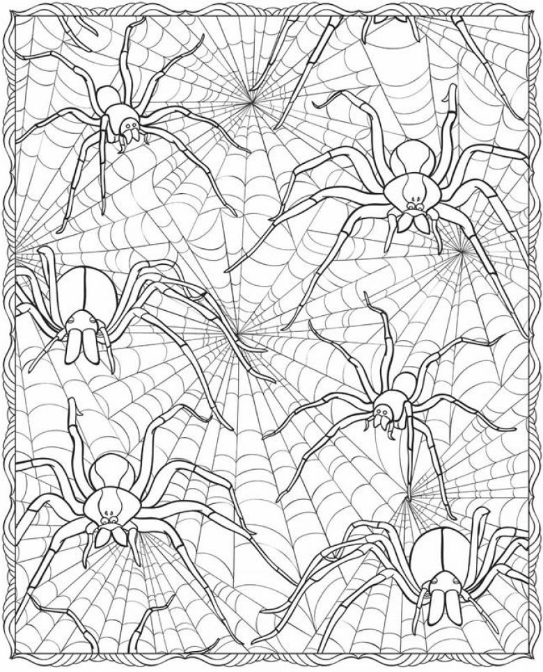 Free Printable Spider Coloring Pages For Kids and Adults - SheetalColor.com