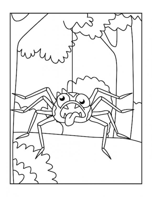 Cute printable spider coloring pages for kids - SheetalColor.com