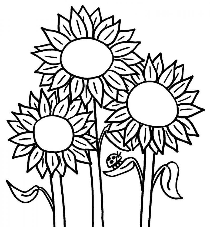 Printable Sunflower Coloring Sheets Easy for Kids - Blank Outline ...