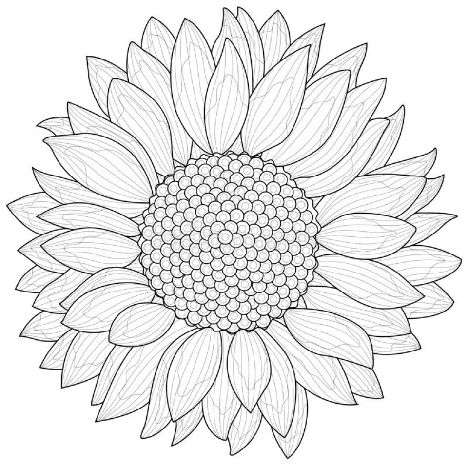 Sunflower.Coloring Book - SheetalColor.com