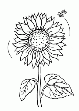 Flower coloring pages for kids - SheetalColor.com