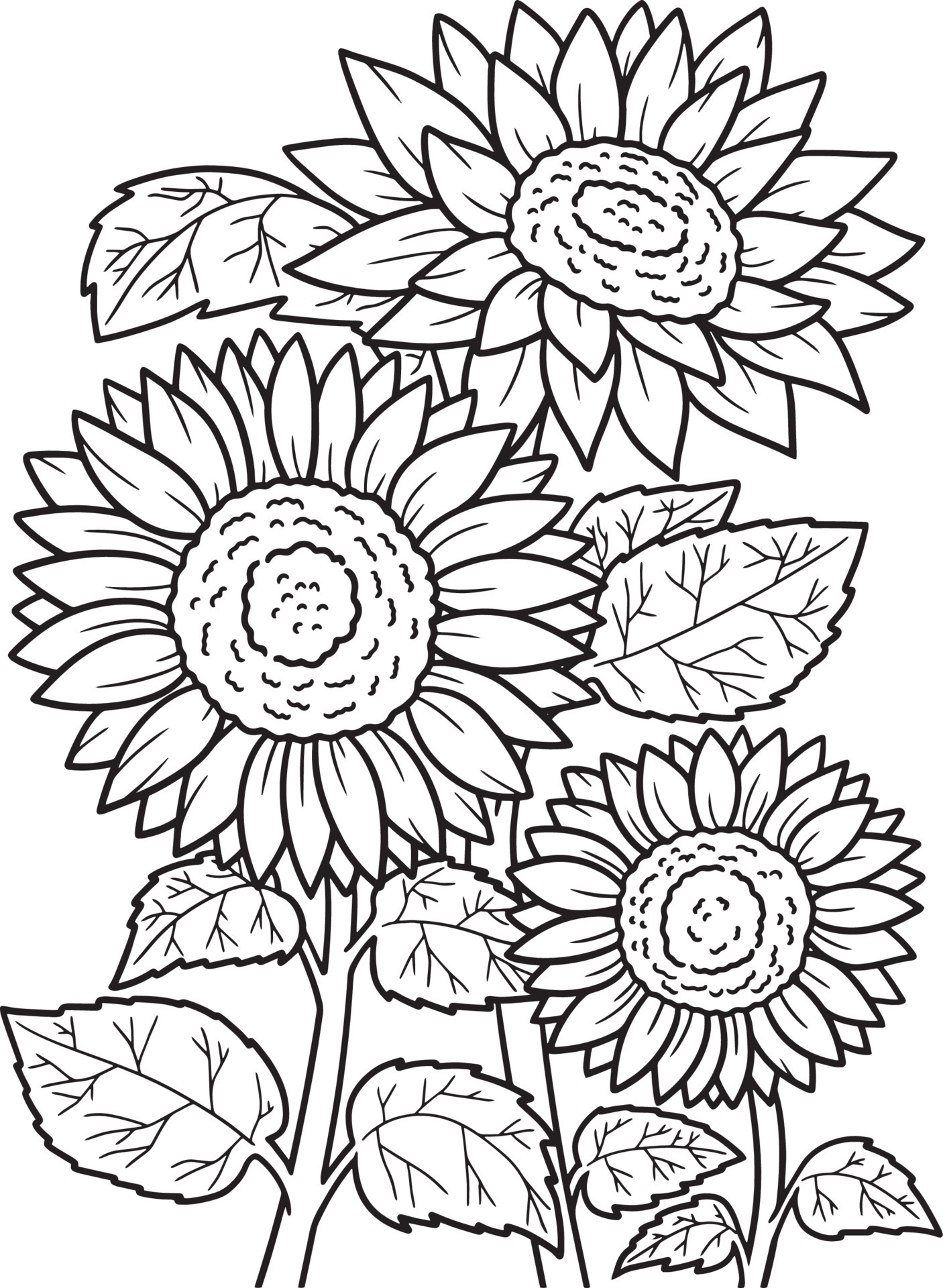 Sunflower Coloring Page for Adults Vector - SheetalColor.com