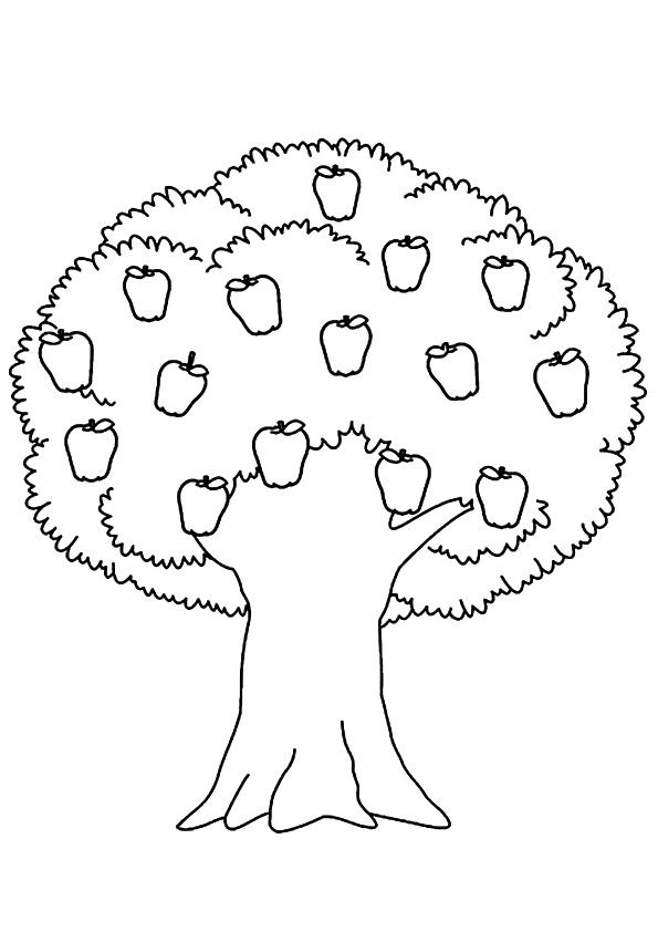 tree blank image for coloring - SheetalColor.com