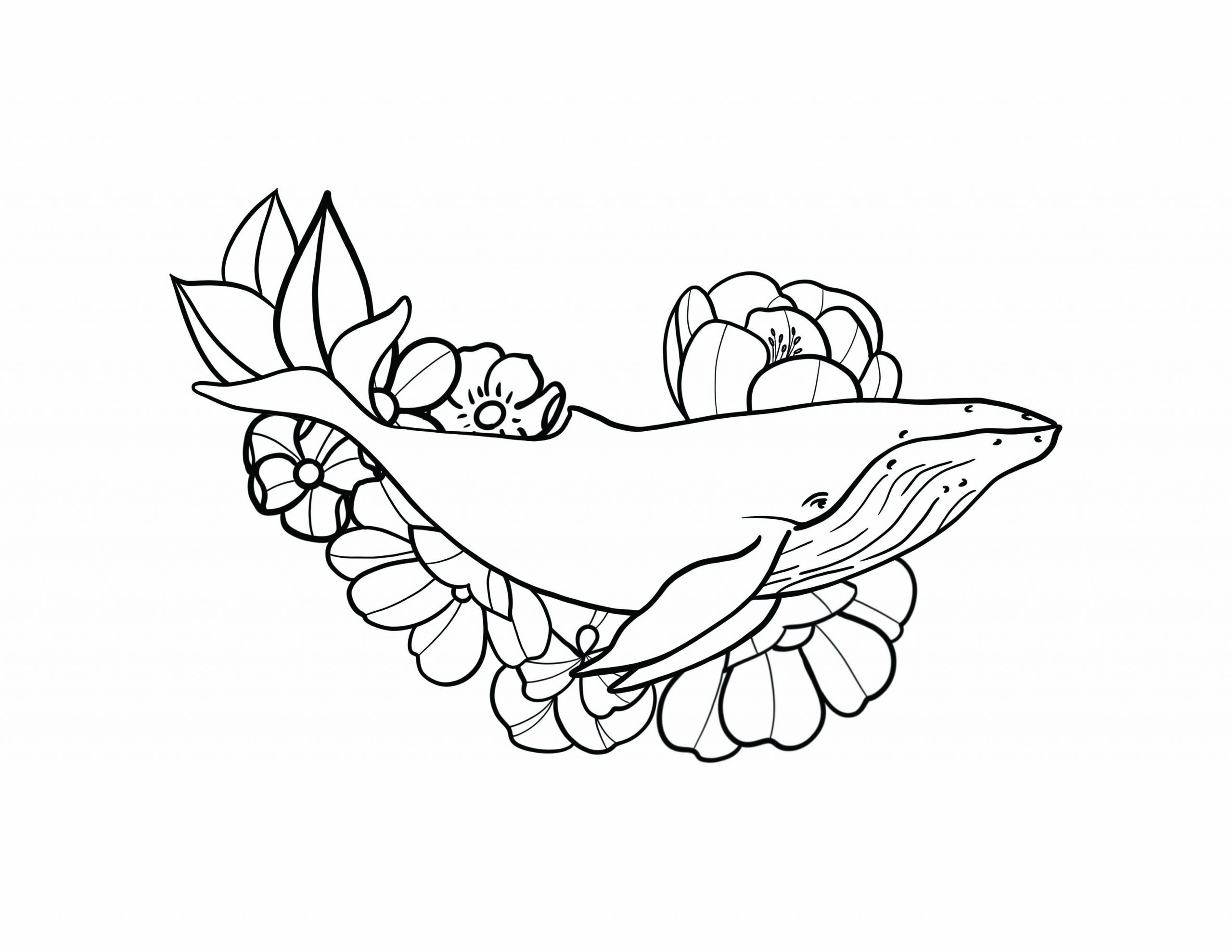 FREE Coloring Page: Humpback Whale Bouquet - SheetalColor.com