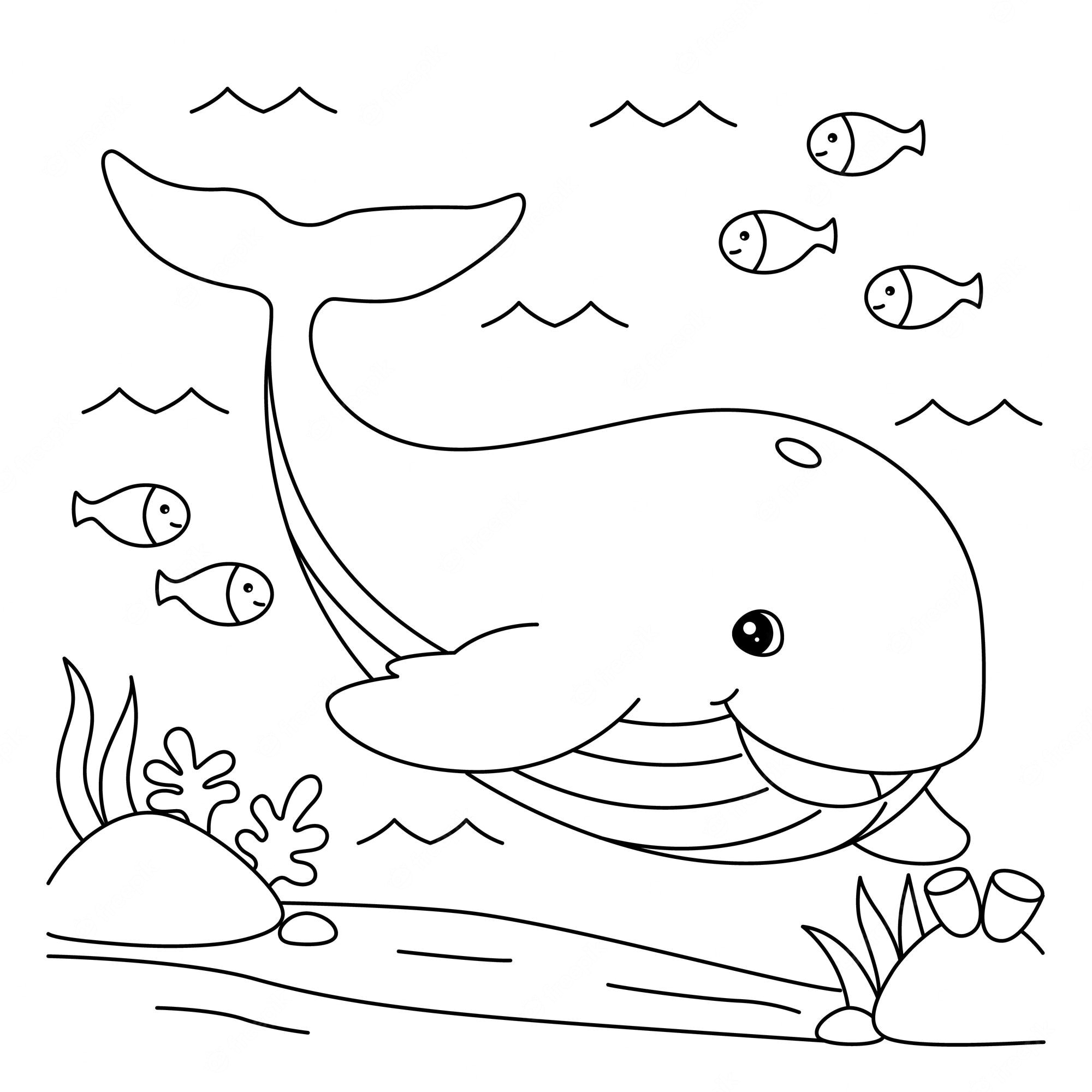 Whale coloring page isolated for kids - SheetalColor.com