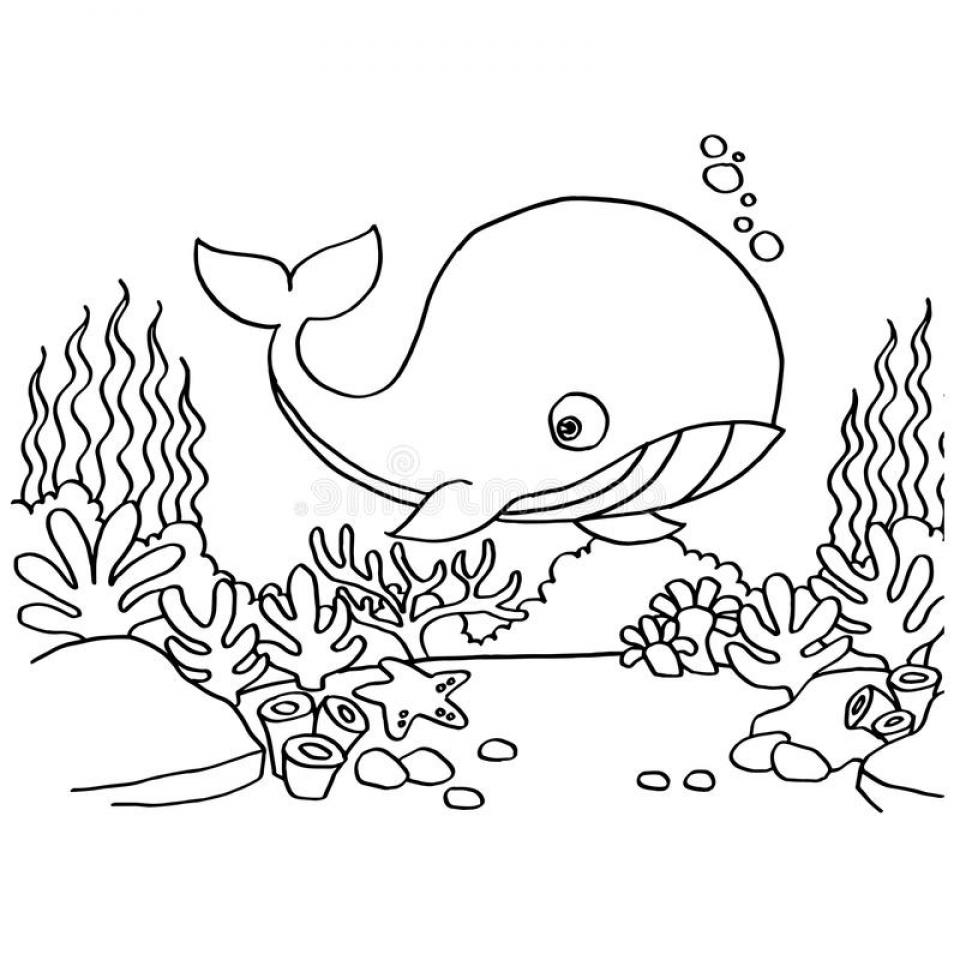 Whales Coloring Pages - SheetalColor.com
