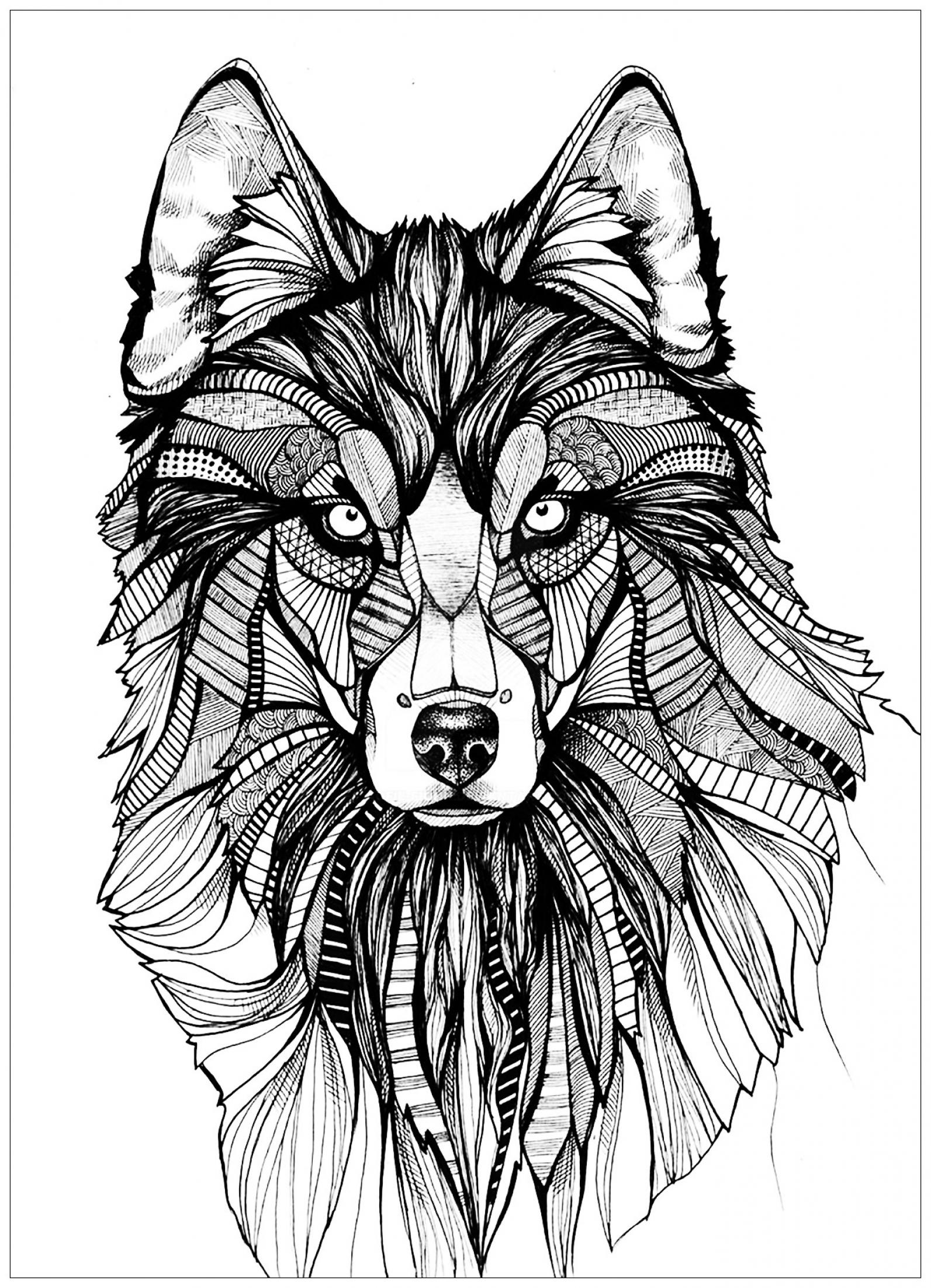 Wolf Coloring Pages for Adults and Kids - SheetalColor.com